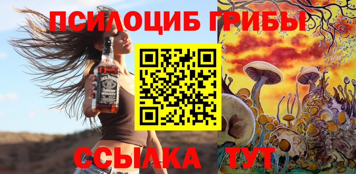 Псилоцибиновые грибы MAGIC MUSHROOMS  Псилоцибиновые грибы Psilocybine cubensis  Россия  Вход с VPN 