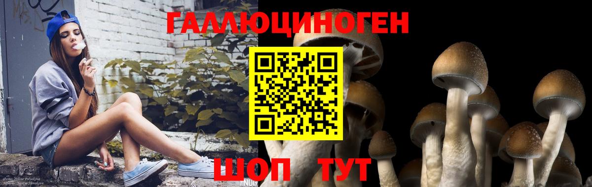 Галлюциногенные грибы ЛСД Россия